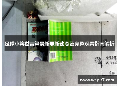 足球小将世青篇最新更新动态及完整观看指南解析