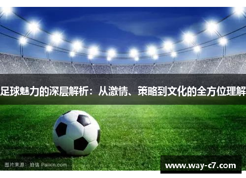 足球魅力的深层解析：从激情、策略到文化的全方位理解