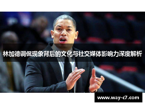 林加德调侃现象背后的文化与社交媒体影响力深度解析