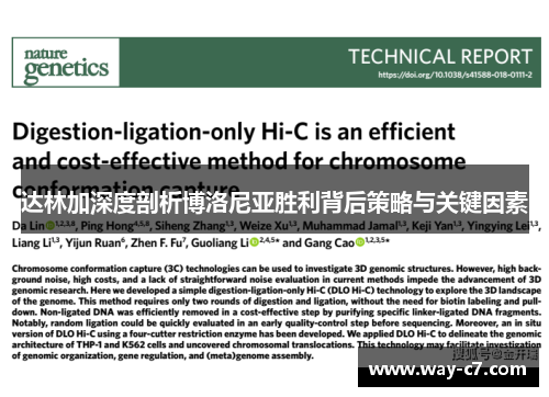 达林加深度剖析博洛尼亚胜利背后策略与关键因素