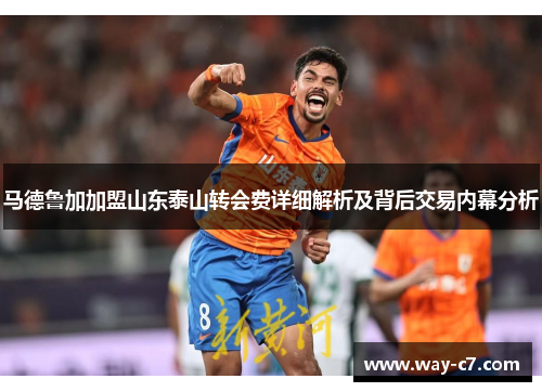 马德鲁加加盟山东泰山转会费详细解析及背后交易内幕分析 马德鲁加加盟山东泰山转会费详细解析及背后交易内幕分析