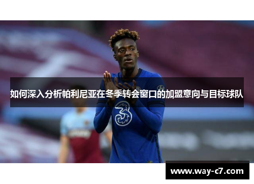 如何深入分析帕利尼亚在冬季转会窗口的加盟意向与目标球队