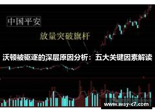 沃顿被驱逐的深层原因分析：五大关键因素解读