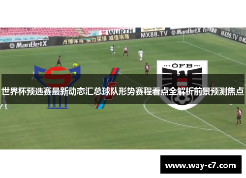 世界杯预选赛最新动态汇总球队形势赛程看点全解析前景预测焦点