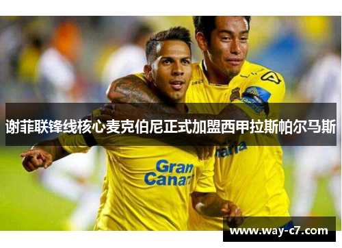 谢菲联锋线核心麦克伯尼正式加盟西甲拉斯帕尔马斯 谢菲联锋线核心麦克伯尼正式加盟西甲拉斯帕尔马斯