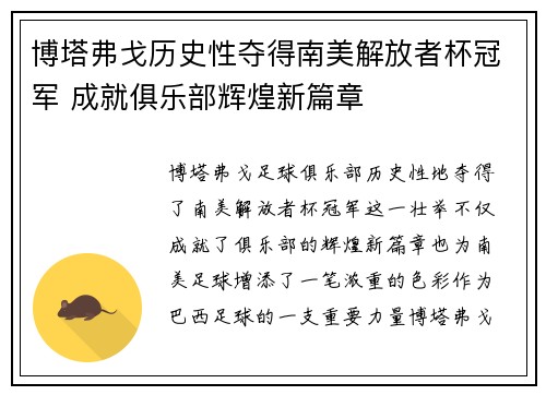 博塔弗戈历史性夺得南美解放者杯冠军 成就俱乐部辉煌新篇章