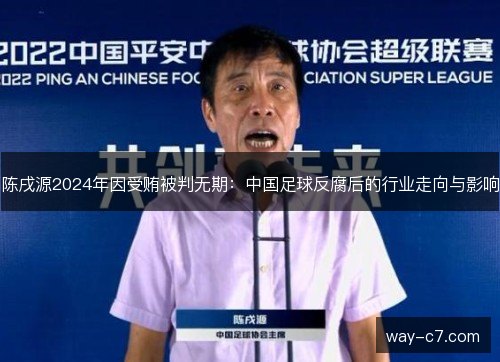 陈戌源2024年因受贿被判无期:中国足球反腐后的行业走向与影响 陈戌源2024年因受贿被判无期:中国足球反腐后的行业走向与影响
